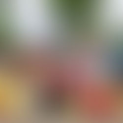 A magia do teatro está de volta a Ribeirão Pires