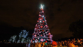 Decorações de Natal para visitar em São Paulo