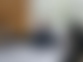 Rio Grande da Serra empossa novas representantes do Conselho Municipal dos Direitos da Mulher