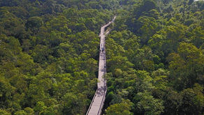Parque Ecológico Imigrantes em São Bernardo proporcionará contato com a Mata Atlântica