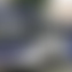 São Bernardo do Campo, autoriza transporte de animais😼 de pequeno porte nos ônibus municipais.