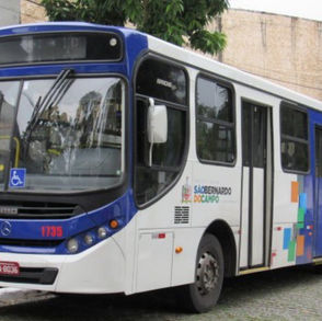São Bernardo do Campo, autoriza transporte de animais😼 de pequeno porte nos ônibus municipais.
