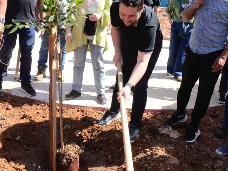 Jardim Santo André recebe primeiras intervenções do programa Floresta Urbana