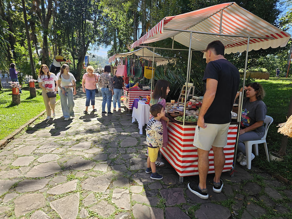 Vivência abre Circuito de Saúde e Bem-Estar e reúne público no Parque Professor Luiz Carlos Grecco