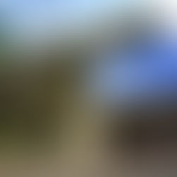 Procon de Santo André realiza mutirão online de renegociação de dívidas.