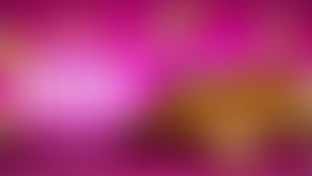 1º Festival de Churros e Gastronomia em Ribeirão Pires