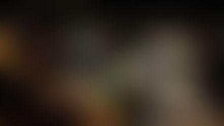 Nesse final de semana se encerrou o 12º Festival do Chocolate