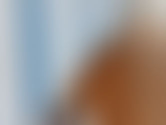 Parque São Vicente recebe revitalização de espaço público