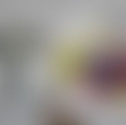 Projeto “Aula de Arte é na Pinacoteca” leva mais de 1.600 alunos da rede municipal para vivência cultural em março