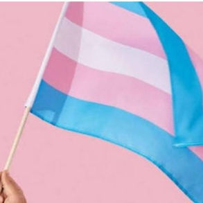 Dia da Visibilidade Trans