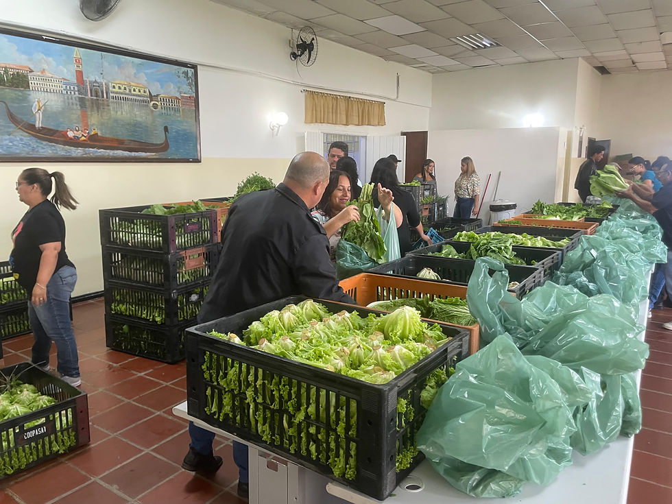 Rio Grande da Serra recebe 300 cestas verdes e reforça cuidado com as famílias