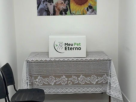 Pet Eterno: Rio Grande da Serra inaugura serviço inédito de despedida para animais de estimação