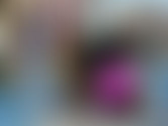 Projeto Tigela Cheia arrecada 300 quilos de garrafas PET e promove adoções e vacinação em Ribeirão Pires