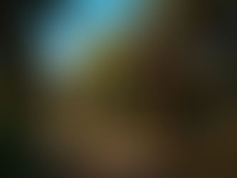 Evento “Florescer Circular” promove dança sagrada no Parque Municipal Luiz Carlos Grecco