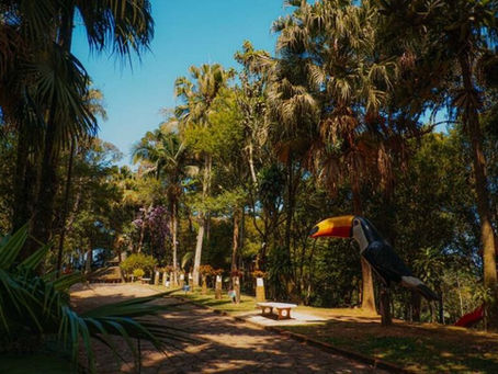 Evento “Florescer Circular” promove dança sagrada no Parque Municipal Luiz Carlos Grecco