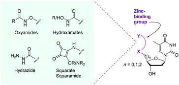 nucleotide modification obc.gif