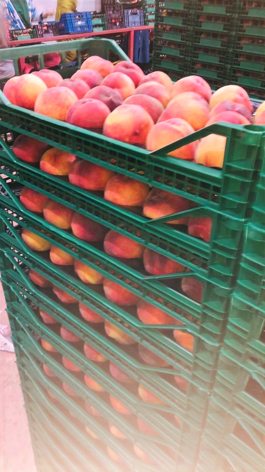 1e179382-d617-4552-91d9-e07f8d340e1b (1)_edited.jpg