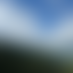 "Uno debe amar lo mas que pueda"