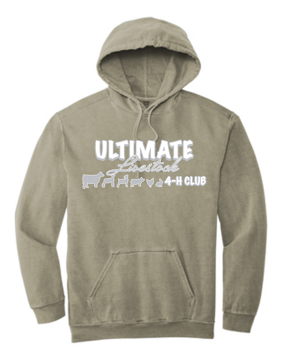 Thumbnail: Ultimate 4H Hoodie