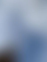 Parent Visiting? Mum's the Word - London in a Day for under £85