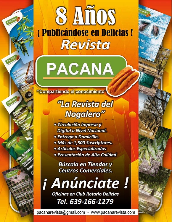 2023-11-13 10_19_01-PACANA EDICION 50-Nov-Dic.pdf - Personal_ Microsoft Edge.jpg