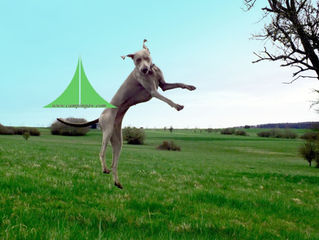 Wochenende : )