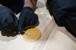 Tersus_CG_MoldTesting_Day_Oct2025_DSC_4407