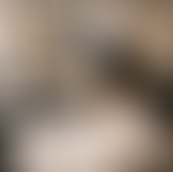 L’édition limitée : pourquoi séduit-elle autant (et comment la choisir) ?