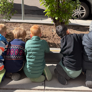 The Sidewalk Classroom: Teaching Urban Forestry to Denver's First Graders