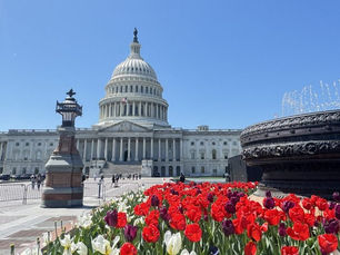 Advocacy Efforts Head to Capitol Hill with International Downtown Association D.C. Fly-in