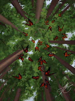 Butterfly rain