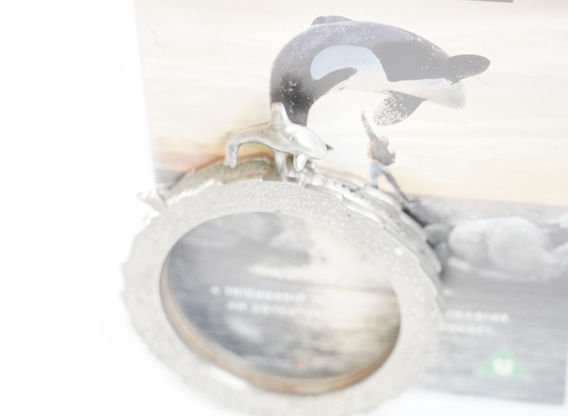 Free Willy photograph by Pewter Live 3.jpeg