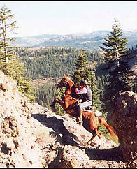 Cougar-Rock.jpg