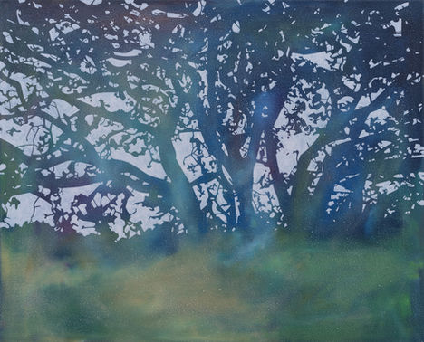 An oak tree in the home of Sir Charles Lemon III Arno Synaeve