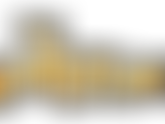 The M.o.d.e.r.n. Stone Age family