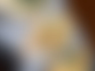 Gratinated oysters, champagne and parmesan