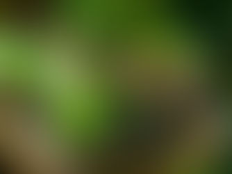 Nature is not a threat