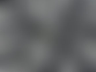 The Future of Our Planet Rests in the Quality of Our Soil