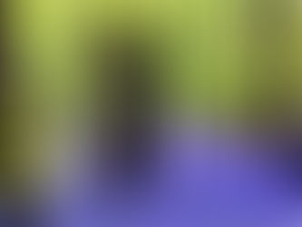 Stimulate the senses