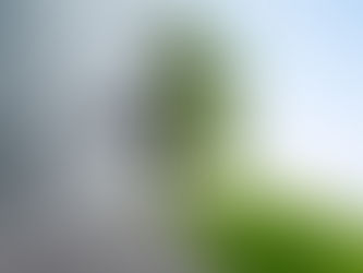 2 Causes and 4 Effects of Soil Degradation