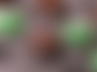 HALLOWEEN - Spider cookies