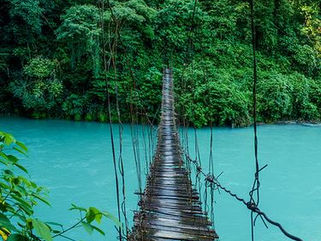 We need nature to survive