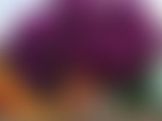 Street artist 'Fábio Gomes Trindade' - nature inspired