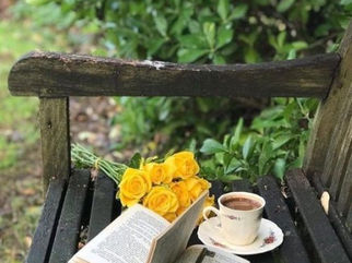 Bring nature into your world every day