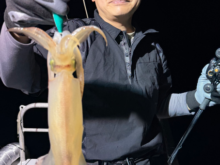 6/28  イカメタル