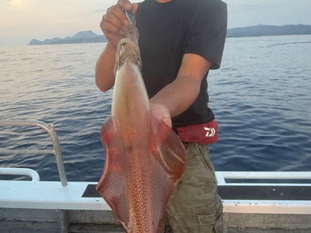 8/23 イカメタル