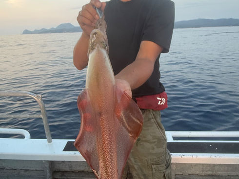 8/23 イカメタル