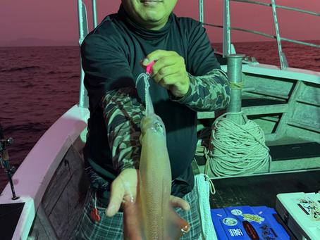 8/20  イカメタル