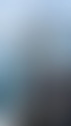 4/28 大鳥山で鰤