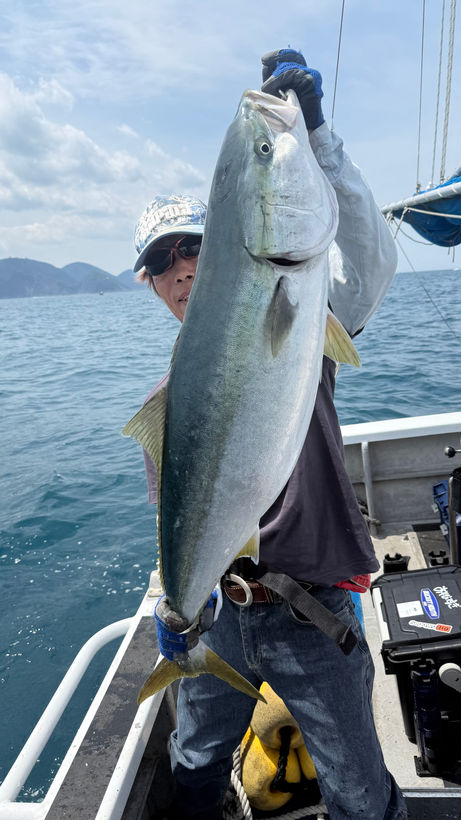 4/28 大鳥山で鰤